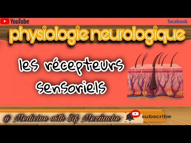 Physiologie  les récepteurs sensoriels - cours de 2 ème année médecine 