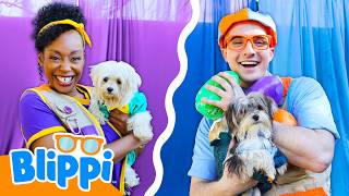 blippi vs meekah s puppy dress up competition