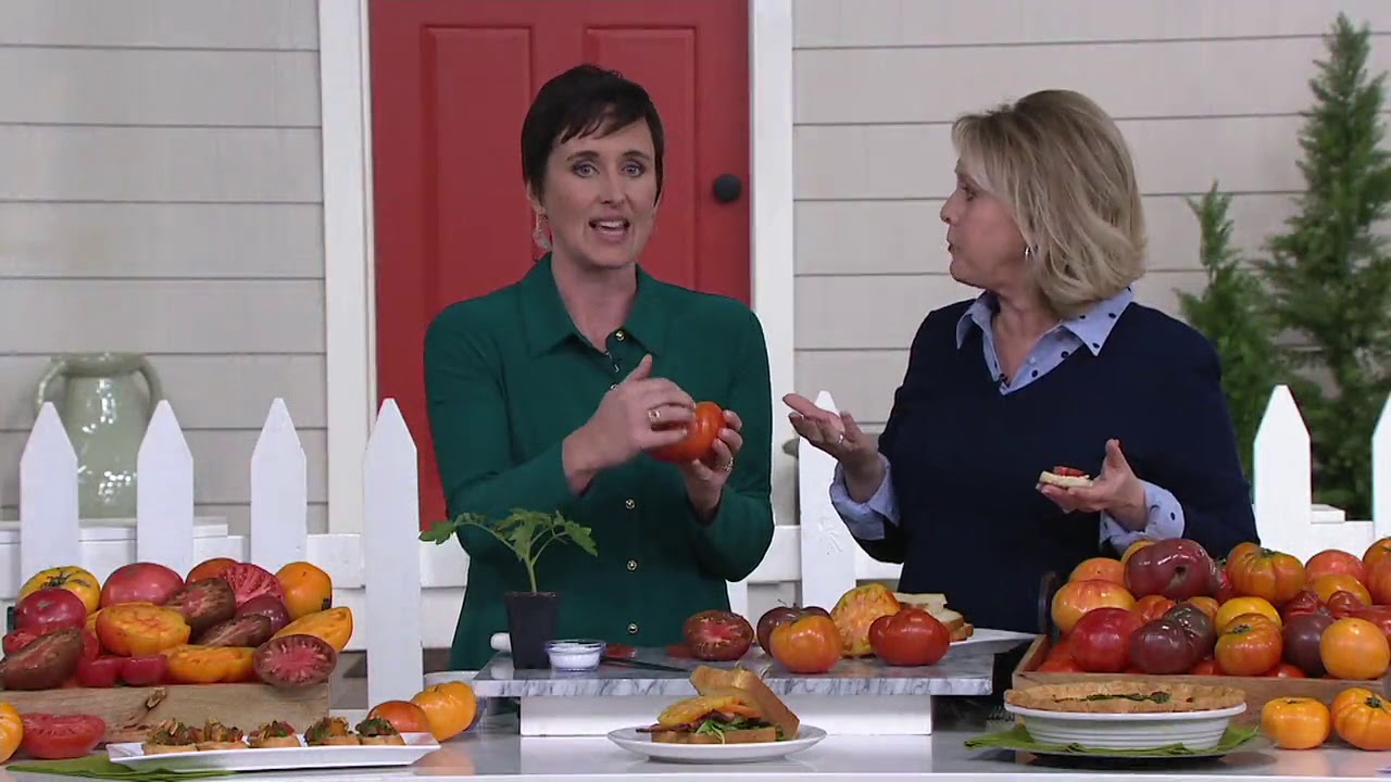 Cottage Farms 4Piece Heirloom Foodie Tomato Collection on QVC YouTube