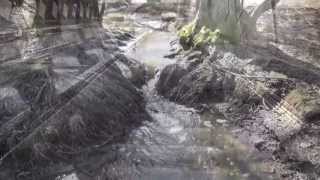 Movements - Wavesofvideos.