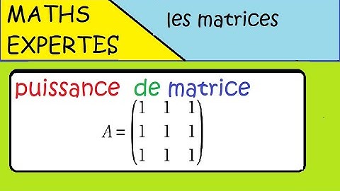 Terminale Maths Expertes- Les matrices - exercice : puissance d