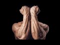 BODY FITNESS WORKOUT AT HOME #video #workoutvideo #youtubevideo #viral like comment and supported