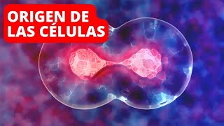How did cells originate? Evolution of eukaryotic and prokaryotic cells