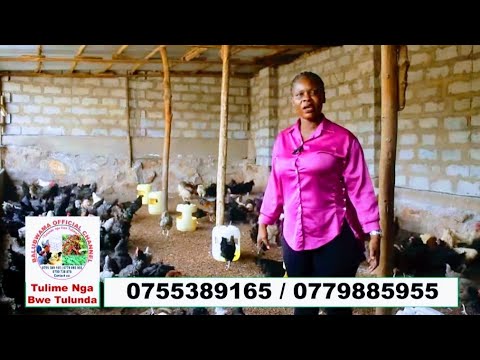 Teekamu Kitono Ofunemu Kinji