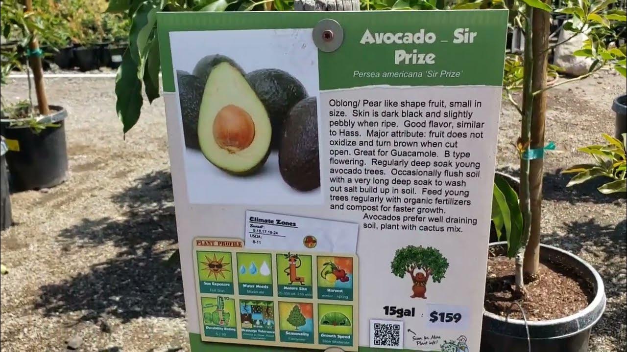 Visiting Two (2) of my Favorite Local Nurseries in Southern California