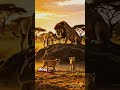 5 Interesting Facts About Lions#animals #lion #interesting #information #science #wilderness #nature
