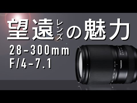 なおせいママ ☆一本で標準+超望遠レンズ☆ Tamron28-300mm☆ 望遠レンズ TAMRON28mm-300mm】〜ともピクチャーズ／映像制作／Youtube