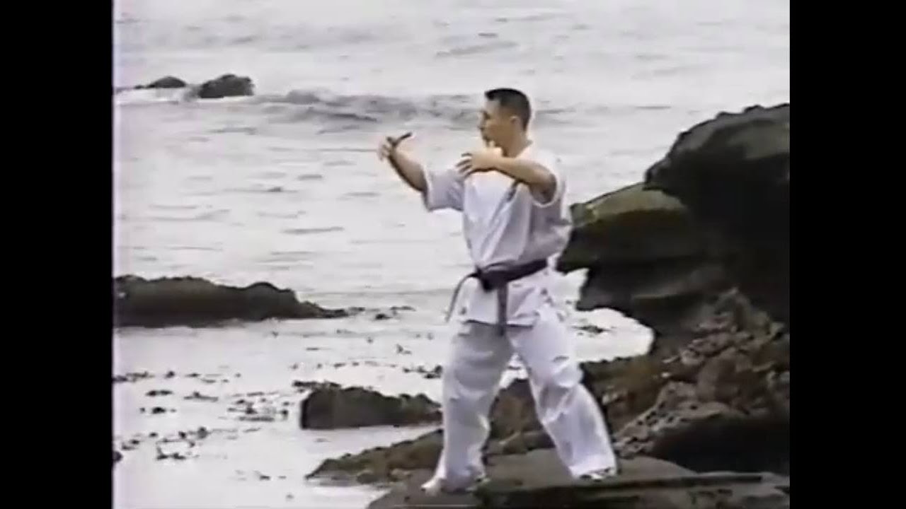 数見 肇　意拳を“空手へ反映”させる場面／「最終兵器  数見 肇」より