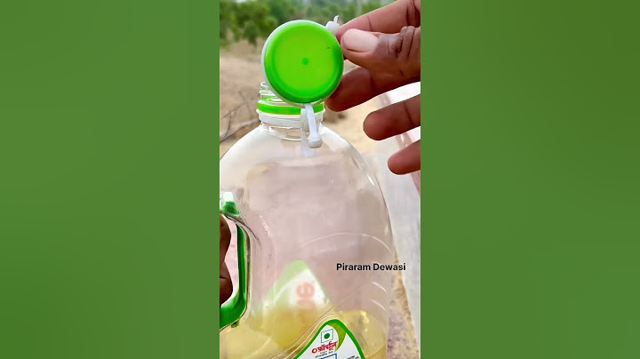 Plastic Bottle Hacks You Never Knew Existed!