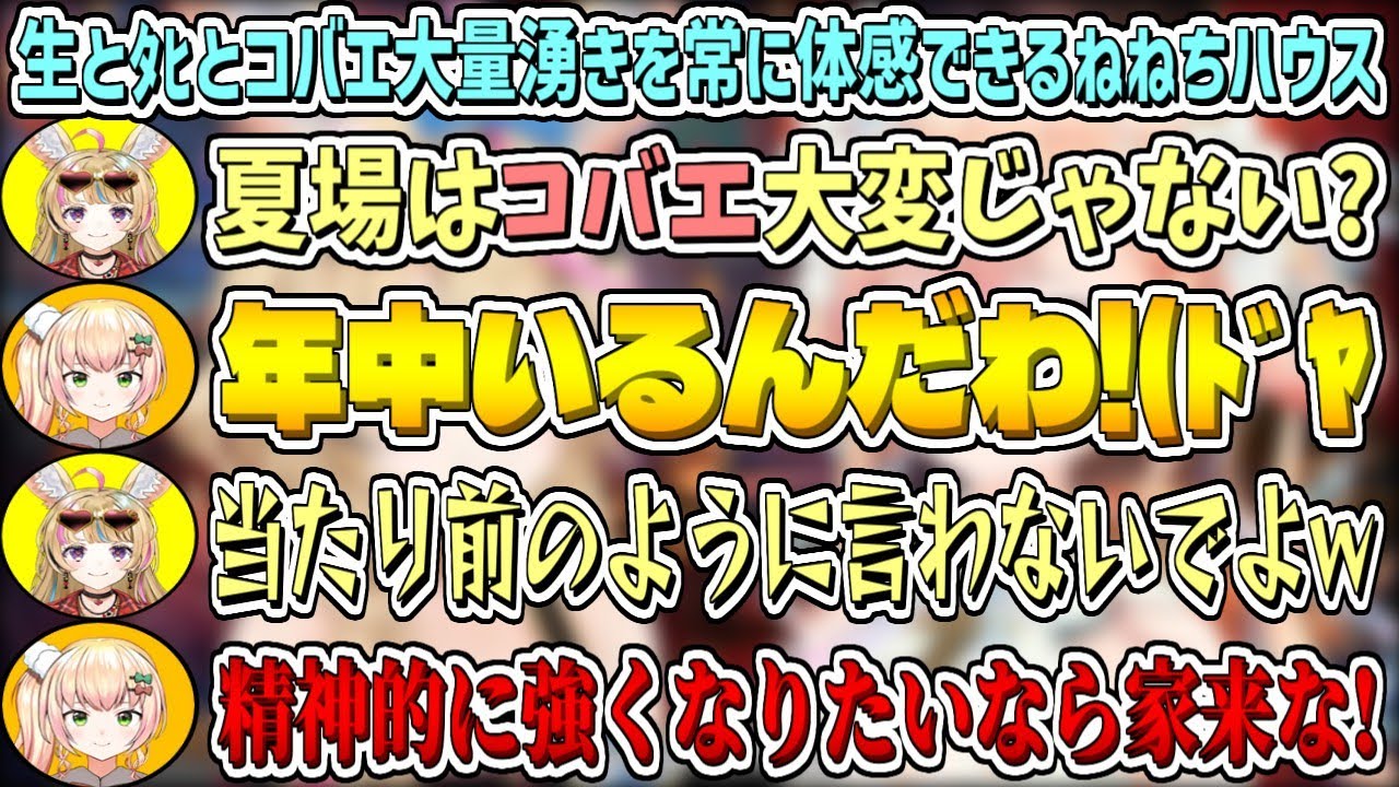 生とﾀﾋとコバエ大量湧きを常に体感できるねねちハウスに困惑するポルカ【尾丸ポルカ/桃鈴ねね/ホロライブ切り抜き】