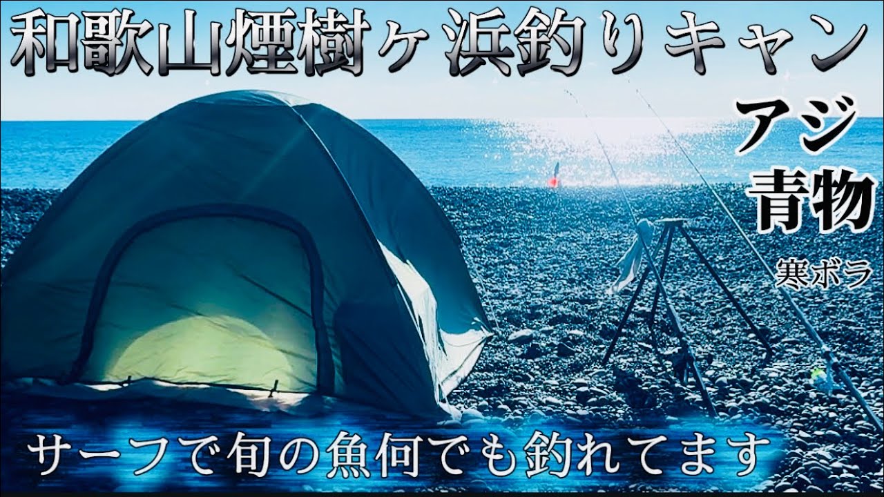 【煙樹ヶ浜釣りキャン】『和歌山』サーフで魚🐟大爆釣✨楽しーぃ🩷