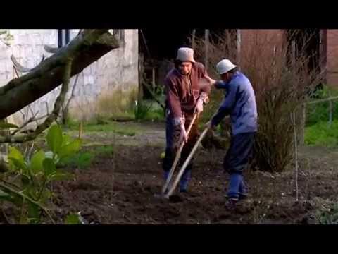 ეთნოფორი • etnopori (ანონსი/გადაცემა ოცდამეერთე) 08.04.2015წ.