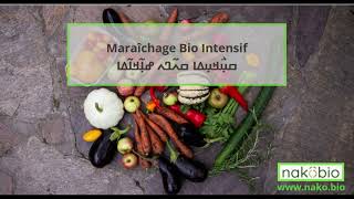 Maraîchage bio-intensif au Mali – Épisode 9 : Pesticides et nouvelles pratiques
