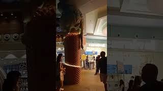 Download Lagu carnival ice cream, resort world Sentosa Singapore #joyvlog #letsgo #shortvideo #traveldestinations MP3