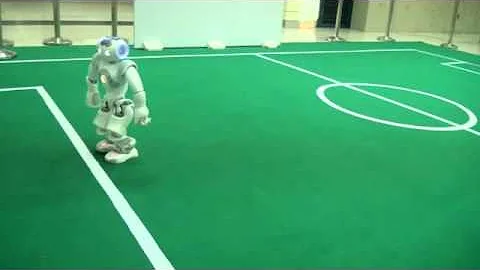 Real Time Biped Walking Gait Pattern Generator for a Real Robot