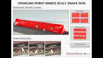 Artificial Snakeskin Helps Robots Get Their Slither On