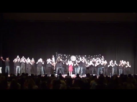 Delta Gamma, Alpha Epsilon Pi, and Lambda Chi Alpha: Songfest 2014