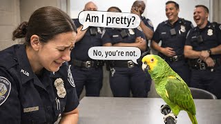 Parrot Roasts Cops Doctors - Parrot Jokes  Funniest Reactions Youll Ever See 