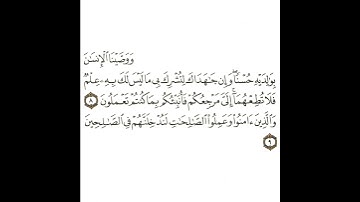سورة العنكبوت 3 القسم الثالث تكرار كيفي من ..  ووصينا الإنسان بوالديه إحسانا .. إلى .. الصالحين