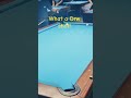 Playing 10 Ball Action $$$! # #trending #pool #viral