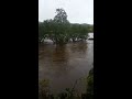 River Teifi in flood near Lampeter River Teifi in flood near Lampeter