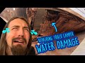 Repairing NASTY Water Damage // Tacoma Truck Camper Reno #3