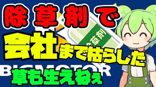 やりすぎた環境整備、ビックモーターの失策【ずんだもん＆ゆっくり解説】