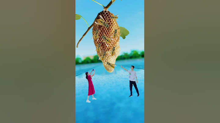 （手机摄影） 在公园散步，发现一个蚂蜂窝拍个创意照..