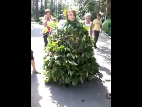 Пранк куст пугает людей. Фото для пранка. Пранк куст пугает людей. Живой куст пугает людей 2019. Пугают людей на улице приколы.