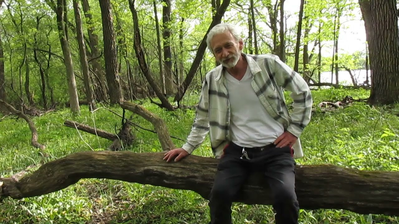 Forest Report 5/4/24