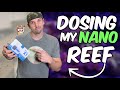 How I Dose My Nano Reef Tank - $50 Dosing Pump