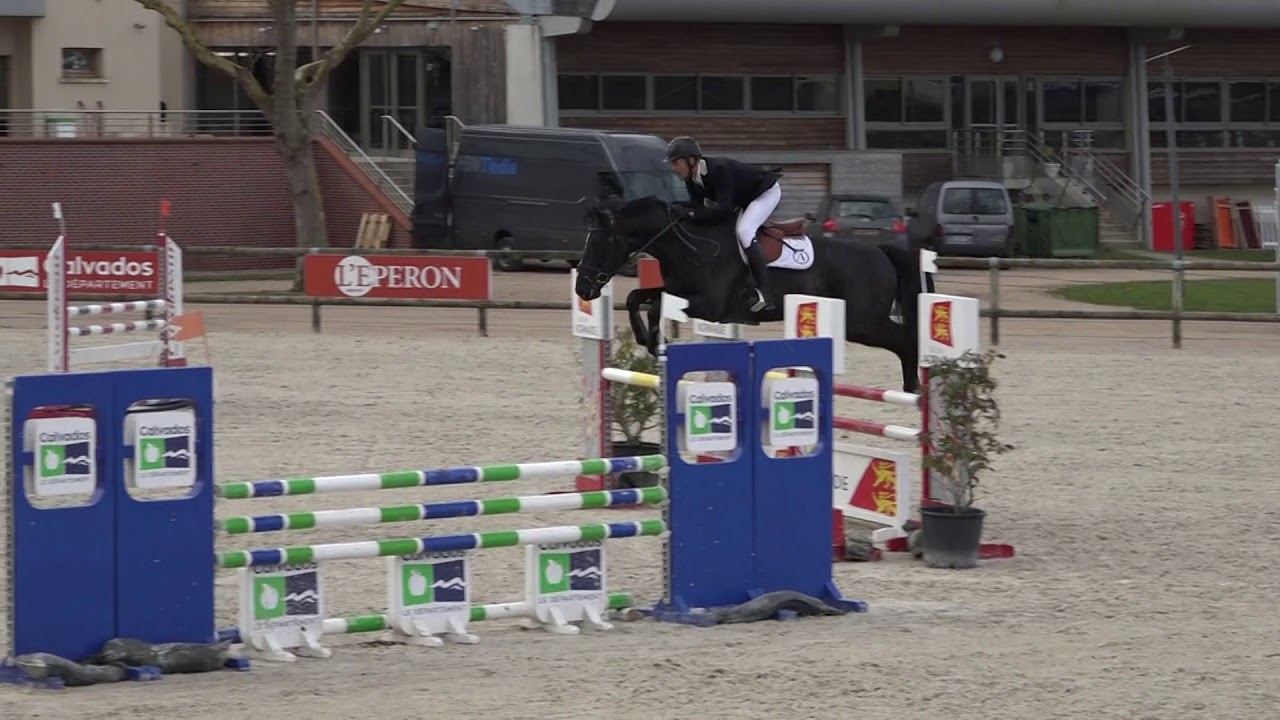 Darkhorse Brimbelles - 5 ans Deauville