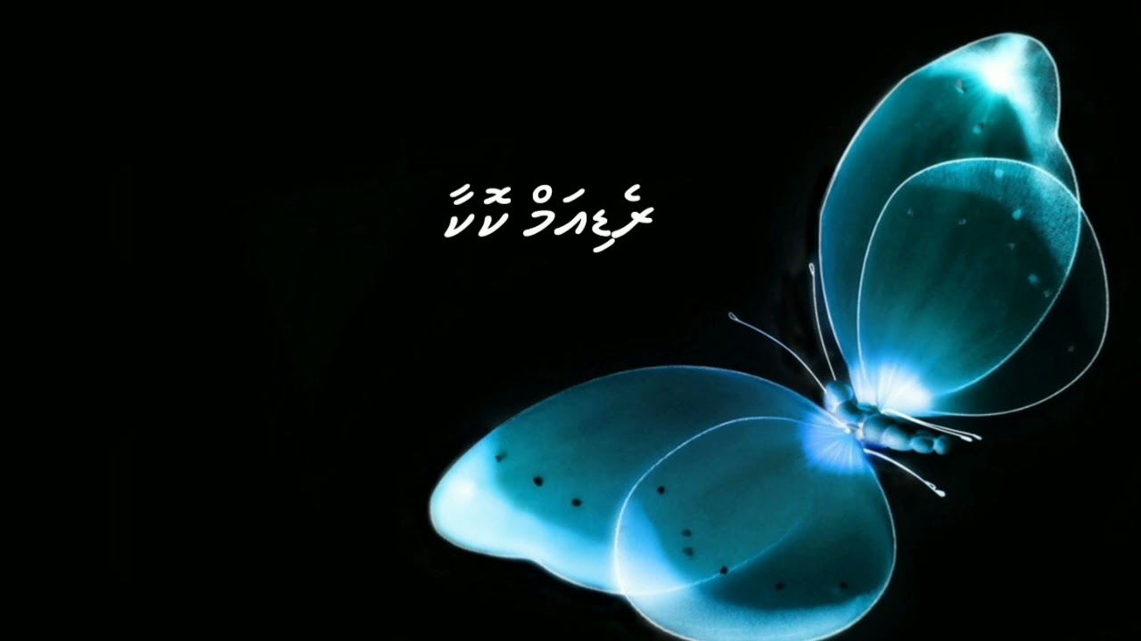 Dhohokkobey ge, Radium 🦋