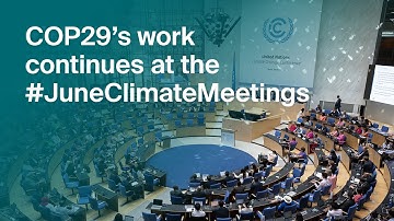 COP29
