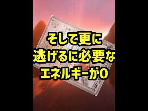 ポケカ 法律 かっつー ファイアローの強いデッキ紹介してほしかったけどそれどころじゃないｗｗｗ Shorts Youtube