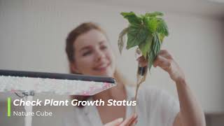 NatureCube, Desktop Aquarium & Hydroponics Growing System