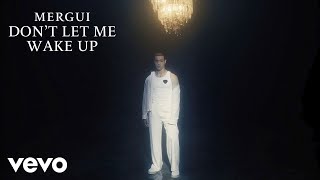 Mergui - Don't Let Me Wake Up [ Visualizer]