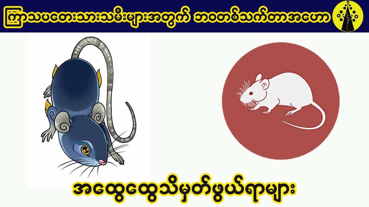 ကြာသပတေးသားသမီးများအတွက် ဘ၀တစ်သက်တာ ဟောစာတမ်းနှင့် သိမှတ်ဖွယ်ရာများ