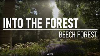 Into the Forest - Beech Forest | UE5 Nanite Forest Environment