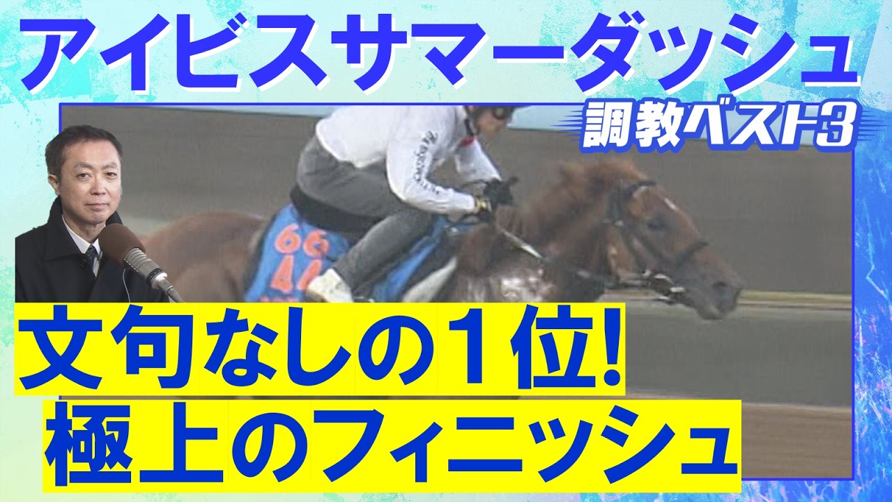 関連動画1