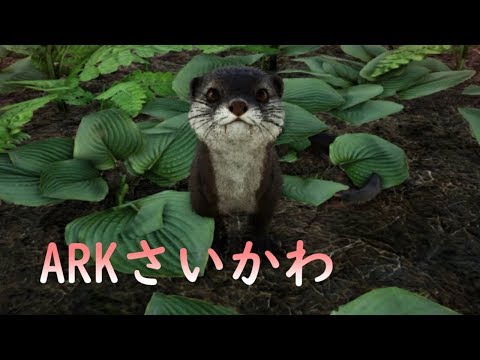 Ark Ps4 カストロイデスのダム周回とカワウソテイム Ark Survival Evolved Part14 Youtube