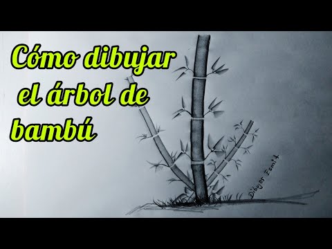 Video: Frutas del diablo: una breve descripción, tipos, nombres