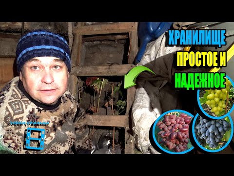 It's high time to put your grape seedlings into storage so they don't freeze. NORTHERN VINEYARD 2...