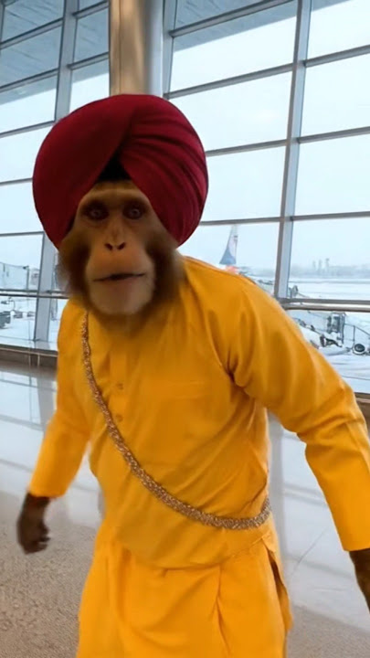 England sa a ra hun chinki airport par lana  aya hey ai monkey vlog videoπ€£#funny #ai#monkey #vairal