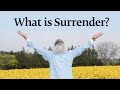 What is surrender  sadhguru