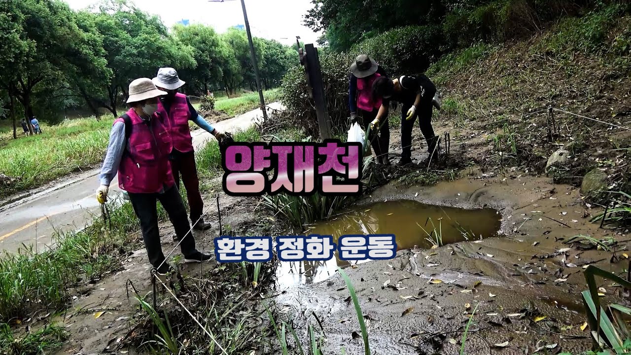 숲여울 2차포럼 - YouTube