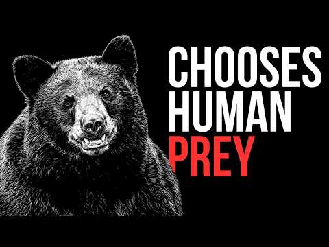 Why You Should Be Terrified of Black Bears