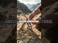 Ridgecraft Real World Survival Tactics with Five Experts
