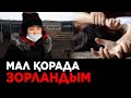 6 жігіттен зорлық көрдім деген қыз Президенттен көмек сұрады