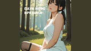 Вредина - Паук Йоро